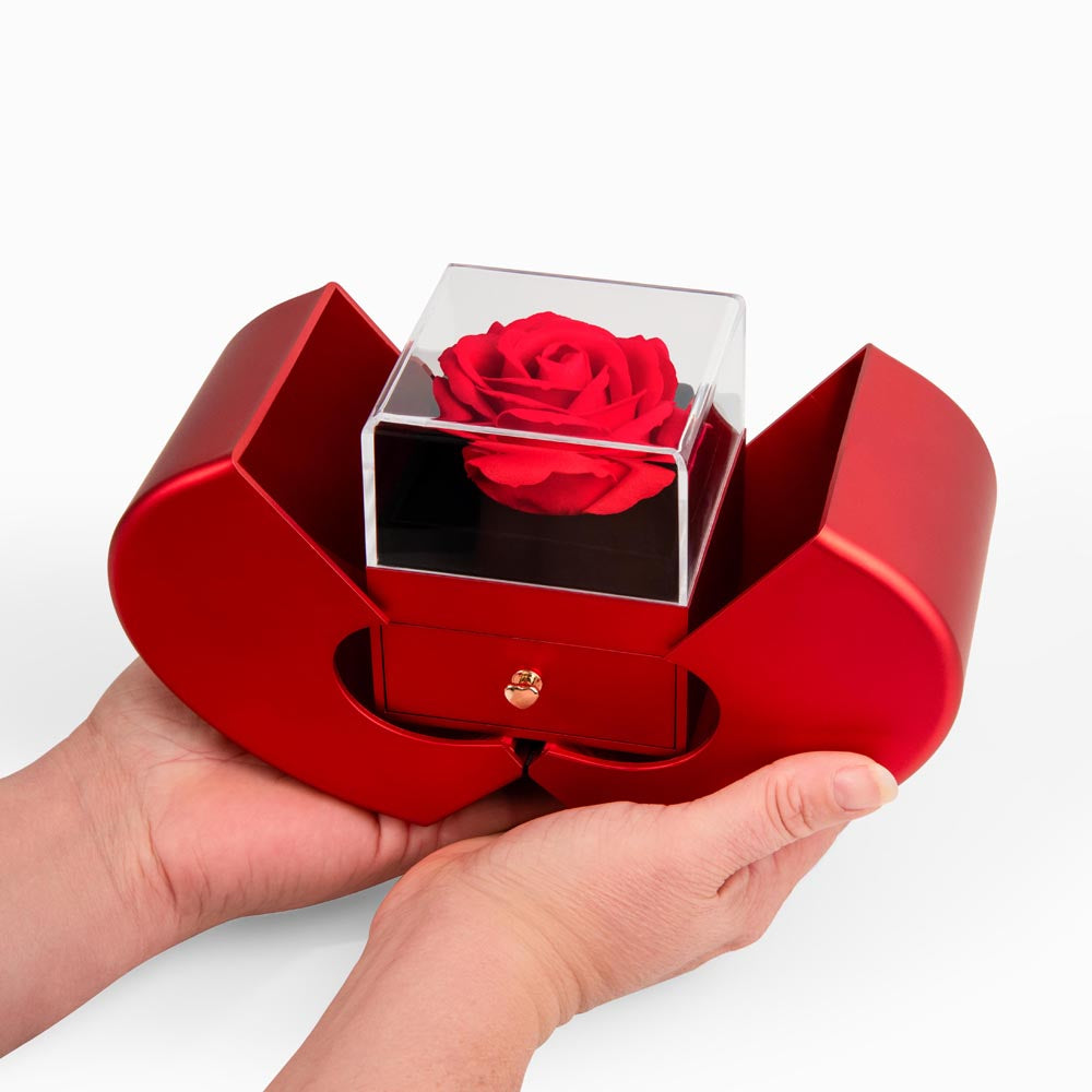 If I Could Only Give You One Thing | Forever Love Necklace with Red Heart Rose Gift Box